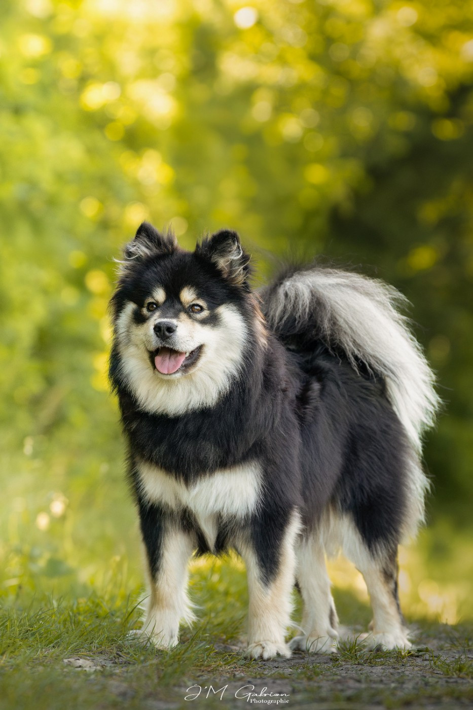 O'khelyara Vilya artanys