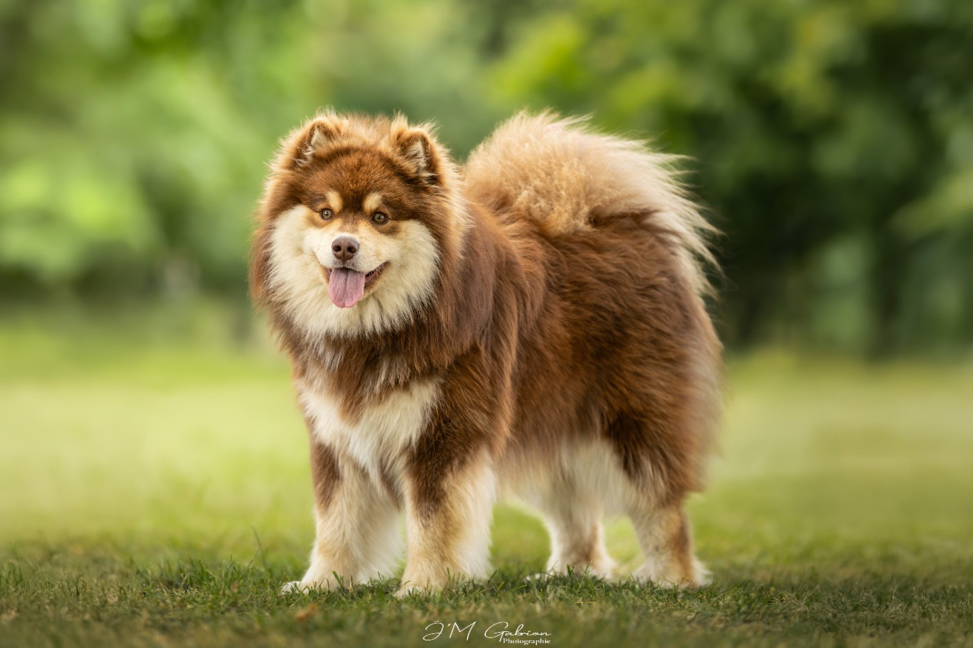 O'khelyara Vilya Elrond