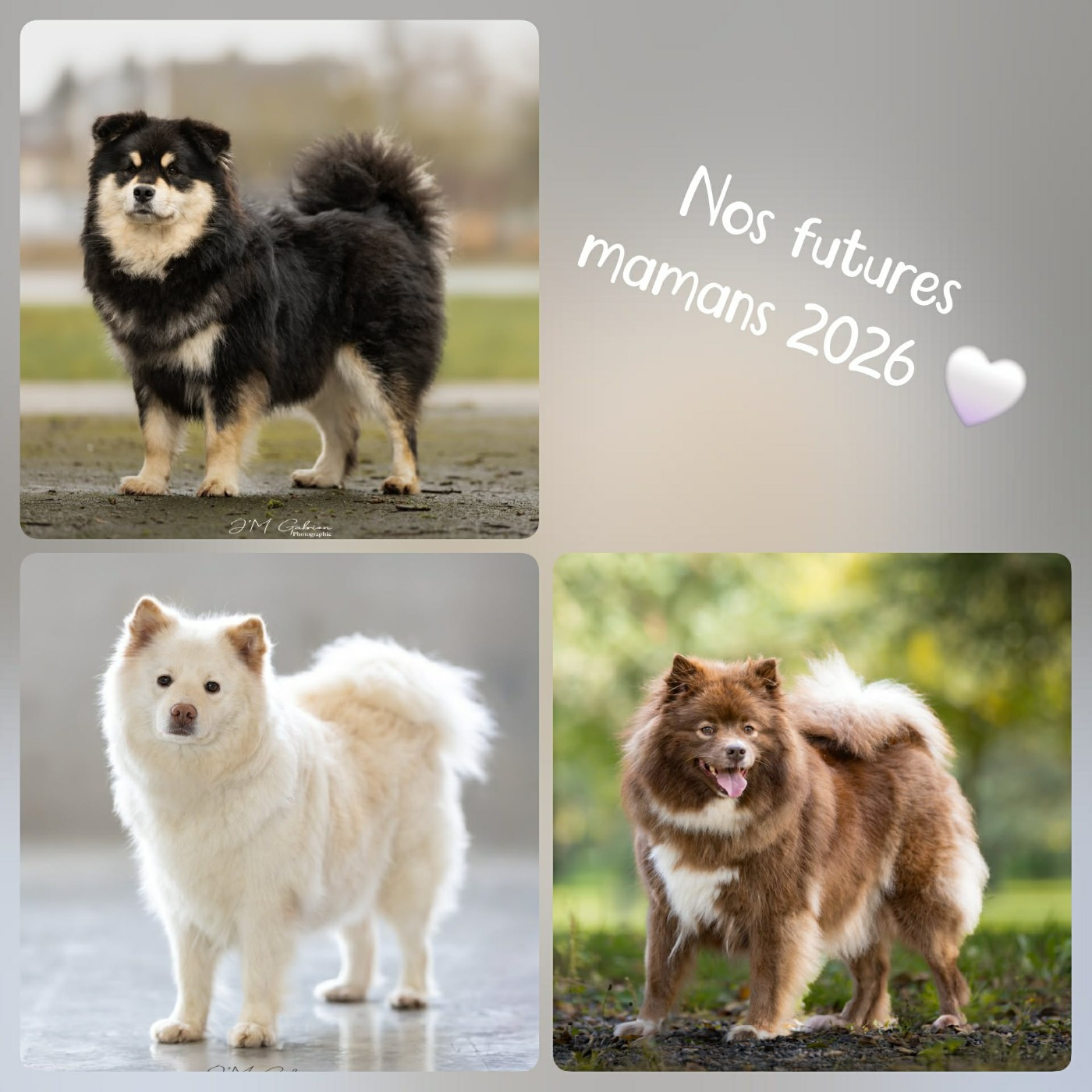 BéBés 2026
